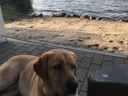 Hundehotel - Hundewiese: eingezäunt - Satow (Mecklenburgische Seenplatte) - Fleesensee Resort & Spa