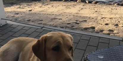 Hundehotel - keine Leinenpflicht im Hotel - Plauer See - Fleesensee Resort & Spa