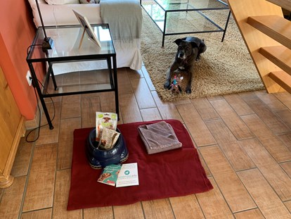 Hundehotel - Hundewiese: eingezäunt - Altenhof (Mecklenburgische Seenplatte) - Fleesensee Resort & Spa