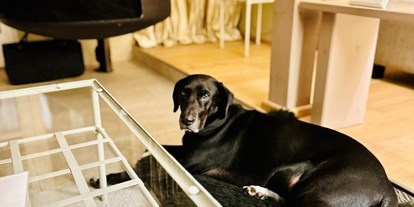 Hundehotel - Klassifizierung: 4 Sterne - Mecklenburgische Schweiz - Fleesensee Resort & Spa