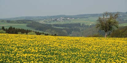 Hundehotel - Umgebungsschwerpunkt: Berg - Buchet (Eifelkreis Bitburg-Prüm) - Landgasthaus Pfahl