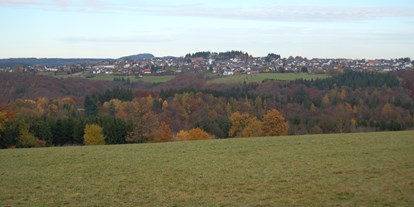 Hundehotel - Verpflegung: Frühstück - Dümpelfeld - Wershofen von Süden - Landgasthaus Pfahl