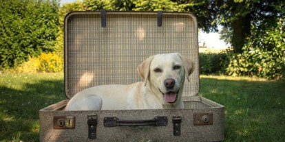 Hundehotel - Trink-/Fressnapf: vor dem Haus - Bad Schallerbach - Hunde sind Herzlich Willkommen - Hotel Donauschlinge Riverresort