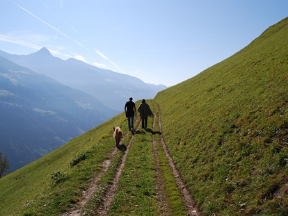 Hundehotel - Hundewiese: eingezäunt - Dorf Tirol - Hotel BAMBOO