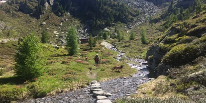 Hundehotel - Preisniveau: günstig - Mayrhofen (Mayrhofen) - Wanderung im Ahrntal mit unseren Hunden - Hotel Steinhauswirt