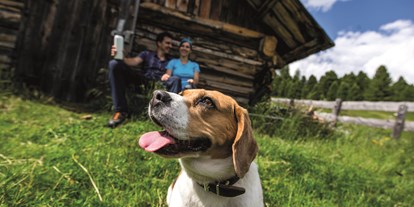 Hundehotel - Umgebungsschwerpunkt: Fluss - PLZ 5563 (Österreich) - Urlaub mit Hund. Freiheit auf 60 ha eigener Alm mit herrlichen Spazier- und Wanderwegen.  - MarktlAlm Almhüttendorf Turracher Höhe