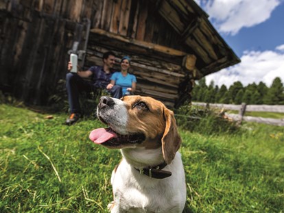 Hundehotel - Doggies: 4 Doggies - Steiermark - Urlaub mit Hund. Freiheit auf 60 ha eigener Alm mit herrlichen Spazier- und Wanderwegen.  - MarktlAlm Almhüttendorf Turracher Höhe