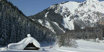 Hundehotel - Agility Parcours - Windischgarsten - Wintertraum in der Eisenerzer Ramsau - Erzberg Alpin Resort
