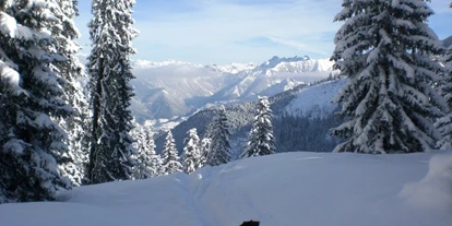 Hundehotel - Agility Parcours - Seckau - Herrlicher Wintertag - Erzberg Alpin Resort