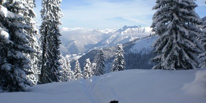 Hundehotel - Hundewiese: eingezäunt - Mooshuben - Herrlicher Wintertag - Erzberg Alpin Resort