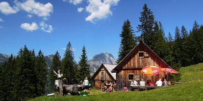 Hundehotel - Hundewiese: eingezäunt - Spielberg (Spielberg) - saftig grüne Almwiesen - Erzberg Alpin Resort