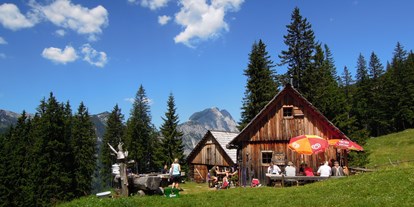 Hundehotel - Großegg (Göstling an der Ybbs) - saftig grüne Almwiesen - Erzberg Alpin Resort