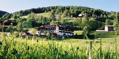 Hundehotel - Umgebungsschwerpunkt: Berg - Kraß (Himmelberg) - **** Hotel - Restaurant Stigenwirth - **** Hotel Stigenwirth 