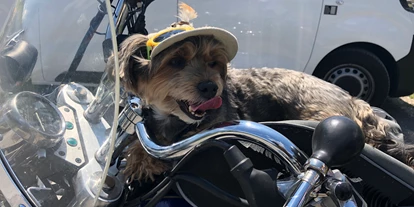 Hundehotel - Unterkunftsart: Pension - Bad Kohlgrub - Hund mit auf dem Motorrad - Haus Alpengruss
