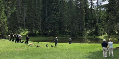 Hundehotel - Hundewiese: nicht eingezäunt - Mösern - Hundetraining auf der Wildmoos - Haus Alpengruss