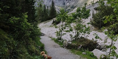 Hundehotel - Hundewiese: nicht eingezäunt - Raitis - wandern in den Bergen - Haus Alpengruss