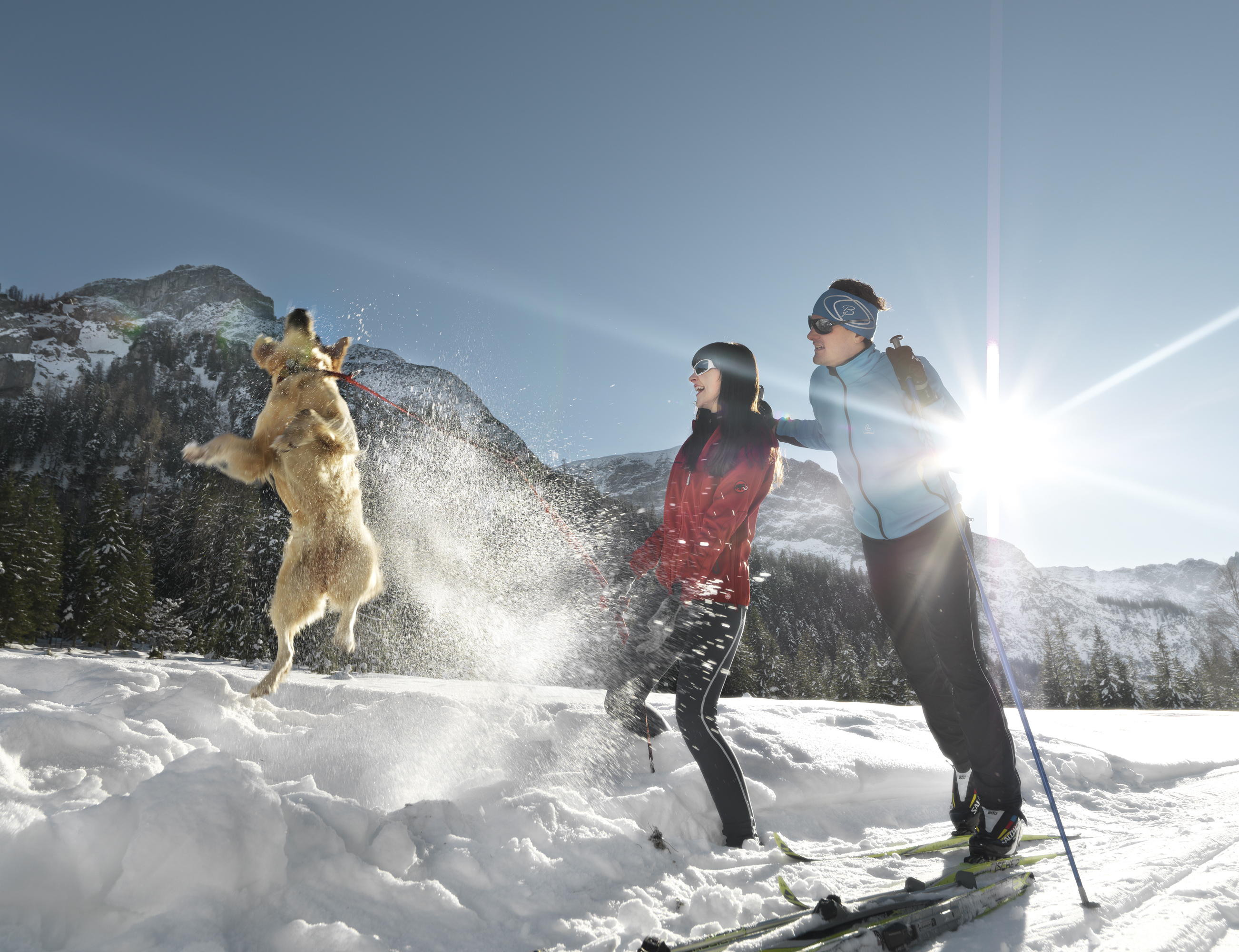 Urlaub-mit-Hund - Winterspaß für alle - Loisi's Boutiquehotel