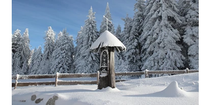 Hundehotel - Sauna - Haidmühle - INNs HOLZ Natur- & Vitalhotel**** Kapelle im Winter - INNs HOLZ Natur- & Vitalhotel****