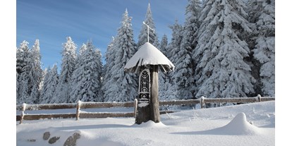 Hundehotel - Dürnau (Bad Leonfelden) - INNs HOLZ Natur- & Vitalhotel**** Kapelle im Winter - INNs HOLZ Natur- & Vitalhotel****