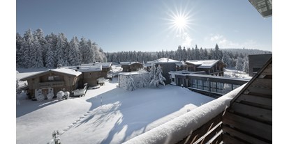 Hundehotel - Wellnessbereich - Böhmerwald - INNs HOLZ Natur- & Vitalhotel**** im Winter - INNs HOLZ Natur- & Vitalhotel****