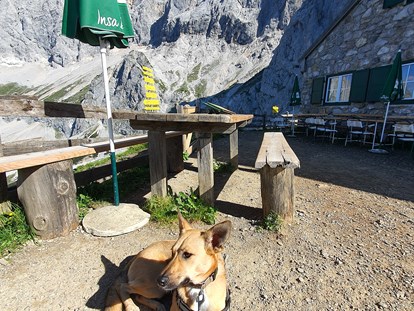 Hundehotel - Hund im Restaurant erlaubt - Südwandhütte Dachstein - Bergbauernhof Irxner