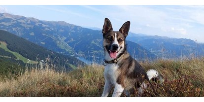 Hundehotel - Klassifizierung: 3 Sterne - PLZ 5751 (Österreich) - Wanderung mit Hund inkl. Panoramaaussicht mit Start vor dem Hotel - Berghotel Jaga Alm 