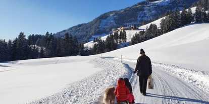 Hundehotel - Hundewiese: eingezäunt - Tirol - Appartement Pension Bäckenhäusl