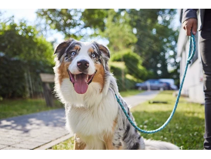 Hundehotel - Bademöglichkeit für Hunde - Lüneburg - Aufenthalt mit Hund - appartello - smarttime living Hamburg