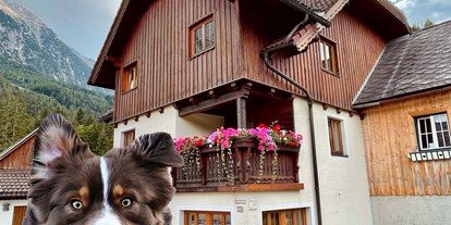 Hundehotel - Hundewiese: eingezäunt - Steiermark - Haus Tauplitz Sommer - Haus Tauplitz
