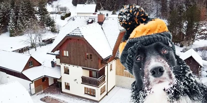 Hundehotel - Hundewiese: eingezäunt - Donnersbachwald - Haus Tauplitz