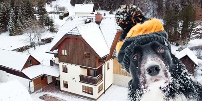 Hundehotel - Trink-/Fressnapf: vor dem Haus - Pürgg - Haus Tauplitz