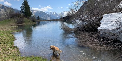 Hundehotel - Umgebungsschwerpunkt: Fluss - Natur.Genuss.Hotel - Sonnasita