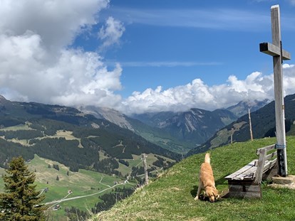 Hundehotel - Umgebungsschwerpunkt: Berg - Natur.Genuss.Hotel - Sonnasita