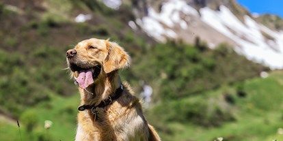 Hundehotel - Umgebungsschwerpunkt: Fluss - Hotelhund LUKE - Natur.Genuss.Hotel - Sonnasita