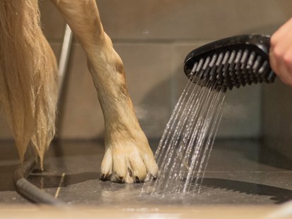 Hundehotel - Bademöglichkeit für Hunde - Bodolz - Natur.Genuss.Hotel - Sonnasita