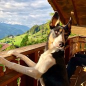 Urlaub im Ferienhaus mit Hund: Balkon im Art Chalet - Art Chalet Vorderschuhzach