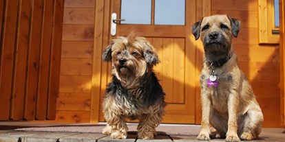 Hundehotel - Klassifizierung: 4 Sterne - Pinzgau - zufriedene Gäste - Feriendorf Oberreit