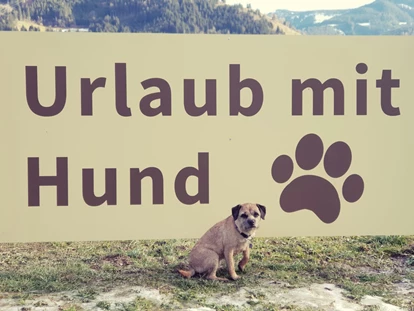 Hundehotel - Unterkunftsart: Chalets - Strub - Urlaub mit Hund - Feriendorf Oberreit