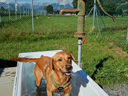 Hundehotel - Unterkunftsart: Chalets - Strub - Hundewiese - Feriendorf Oberreit