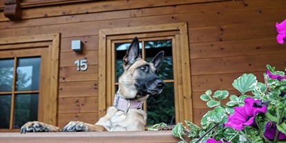 Hundehotel - Klassifizierung: 4 Sterne - vor dem Haus - Feriendorf Oberreit