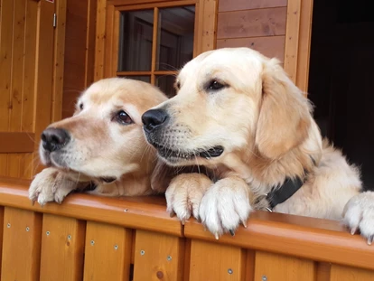 Hundehotel - Hundewiese: eingezäunt - Kaprun - auf der Veranda - Feriendorf Oberreit