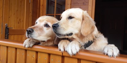 Hundehotel - Dogsitting - Bad Gastein - auf der Veranda - Feriendorf Oberreit