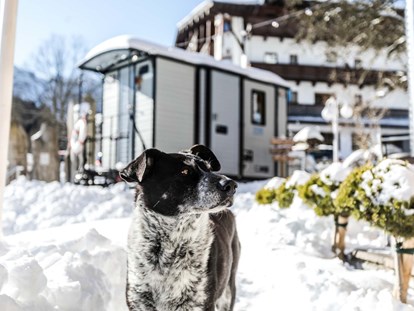 Hundehotel - Hundewiese: eingezäunt - Ellmau - Alpenhotel Tyrol - 4* Adults Only Hotel am Achensee