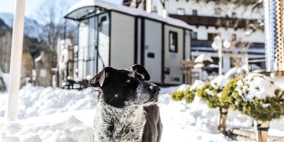 Hundehotel - Pools: Außenpool nicht beheizt - PLZ 6293 (Österreich) - Alpenhotel Tyrol - 4* Adults Only Hotel am Achensee