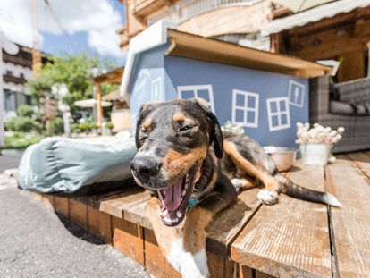 Hundehotel - Hundewiese: eingezäunt - Raitis - Alpenhotel Tyrol - 4* Adults Only Hotel am Achensee