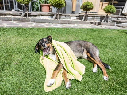 Hundehotel - Hundewiese: nicht eingezäunt - Innsbruck - Alpenhotel Tyrol - 4* Adults Only Hotel am Achensee