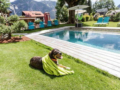 Hundehotel - Hundewiese: nicht eingezäunt - Mösern - Alpenhotel Tyrol - 4* Adults Only Hotel am Achensee