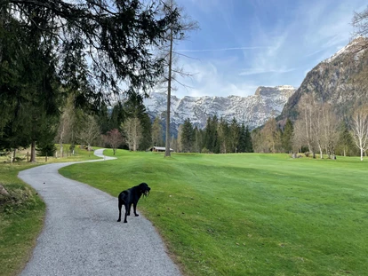 Hundehotel - Hundewiese: nicht eingezäunt - Innsbruck - Malerische unmittelbare Umgebung  - Alpenhotel Tyrol - 4* Adults Only Hotel am Achensee