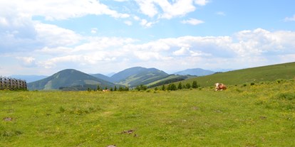 Hundehotel - Umgebungsschwerpunkt: am Land - Kühwiesen - Gasthof Pension Jagawirt