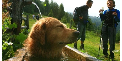 Hundehotel - Hundewiese: nicht eingezäunt - Mariapfarr - Urlaub mit Hund am Kreischberg (Foto: Ikarus TVB Murau-Kreischberg) - Club Hotel am Kreischberg